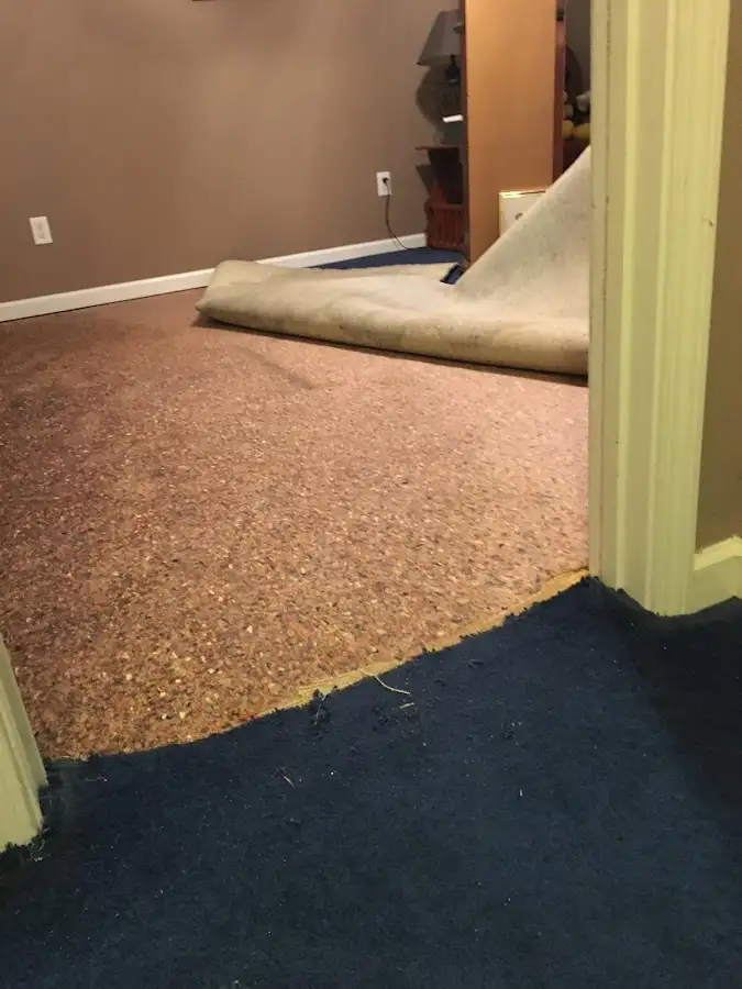 Carpet pad removal revealing water damage during Drying & Dehumidification in Sandy Oaks