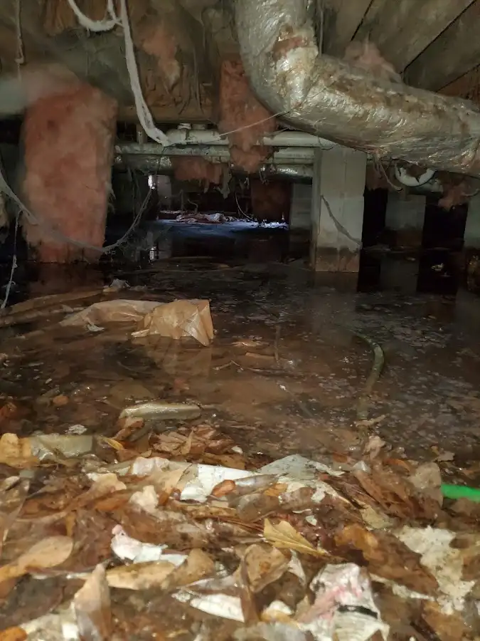 Crawl space flood assessment for Commercial Water Damage Restoration in Sandy Oaks