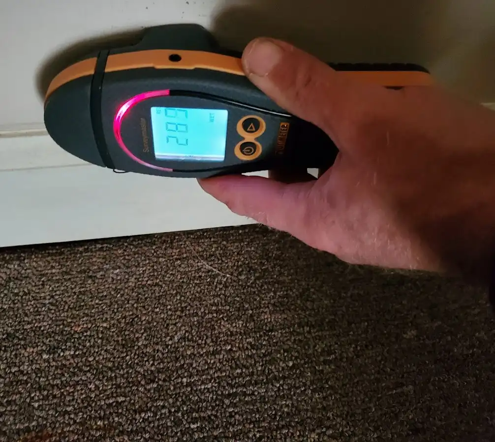 Moisture detection at baseboard during Mold Inspection & Testing in Sandy Oaks
